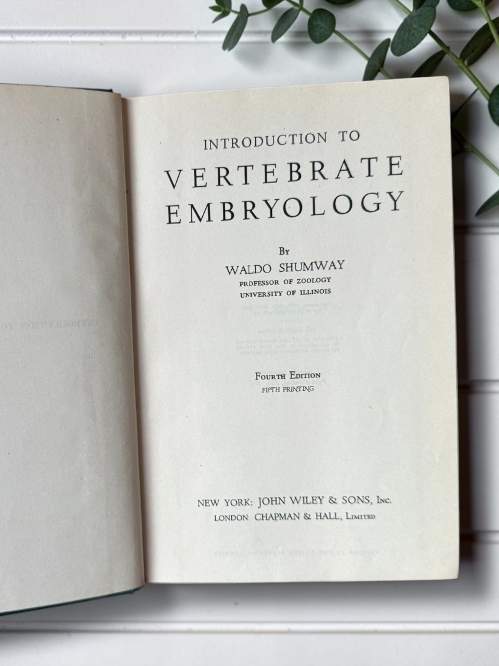 Vintage 1947 Introduction to Vertebrate Embryology Waldo Shumway 4th Edition